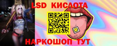 прущие грибы Краснокаменск