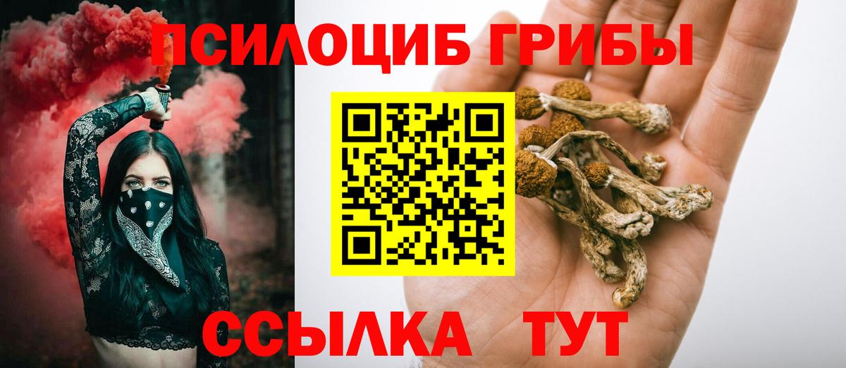 Галлюциногенные грибы GOLDEN TEACHER Донецк
