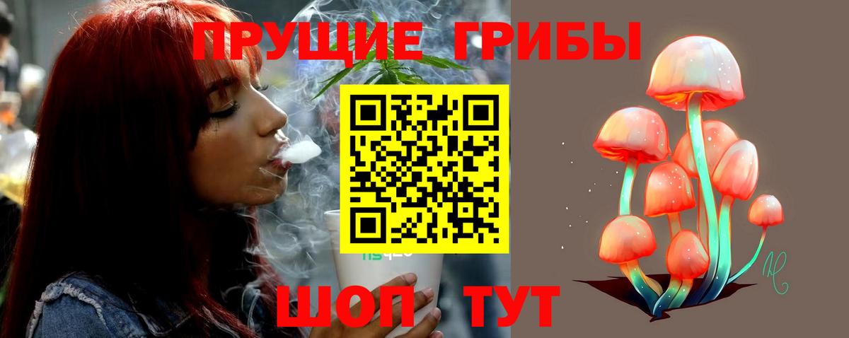наркота  Галлюциногенные грибы GOLDEN TEACHER  Вход с VPN  Донецк 